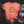 Load image into Gallery viewer, Thankful Rainbow Pumpkin Shirt, Leopard Rainbow Shirt
