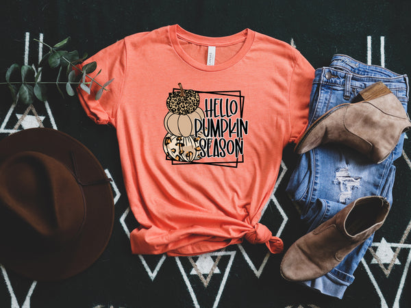 Hello Pumpkin Season Shirt, Fall Shirt